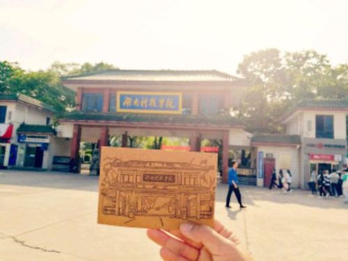 242f41ed2e738bd4c55a0e26ab8b87d6267ff9ce