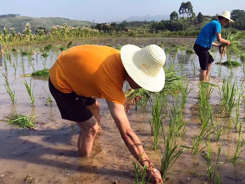 QQ图片20170728183025 QQ图片20170728183025