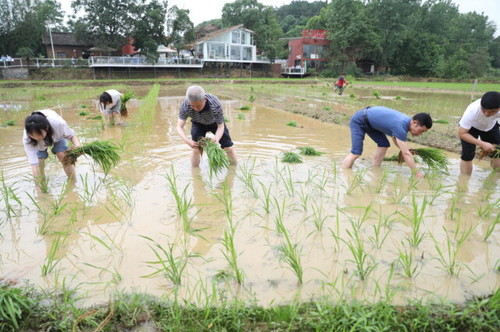 伟德国际1946源于英国积极推动大中小学“五育并举”一体化