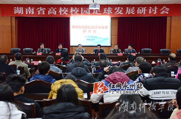 研讨会现场 摄/何帅文