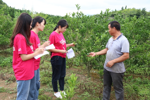 20180714125953_IMG_7627 20180714125953_IMG_7627