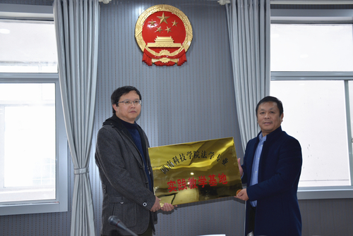 DSC_6767_副本 DSC_6767_副本