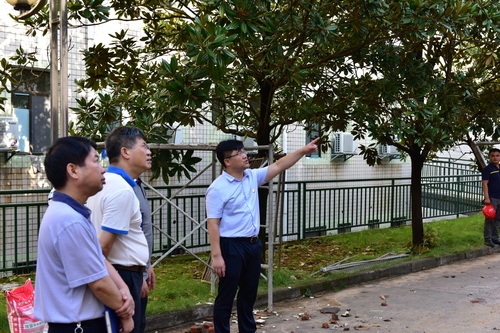 QQ图片20200728170826 QQ图片20200728170826