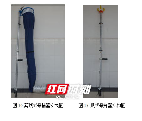 伟德国际1946源于英国大学生研发“摘果神器”