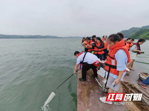 图片33.png 图片33.png